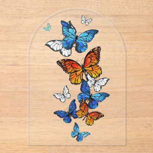 Vliegende vlinders Morpho en Monarch Acryl Uitnodigingen