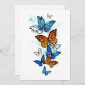 Vliegende Vlinders Morpho en Monarch Advieskaart (Voorkant / Achterkant)