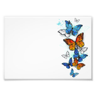 Vliegende Vlinders Morpho en Monarch Foto Afdruk