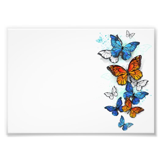 Vliegende Vlinders Morpho en Monarch Foto Afdruk (Voorkant)