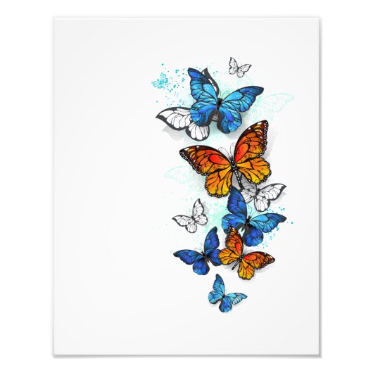 Vliegende Vlinders Morpho en Monarch Foto Afdruk (Voorkant)