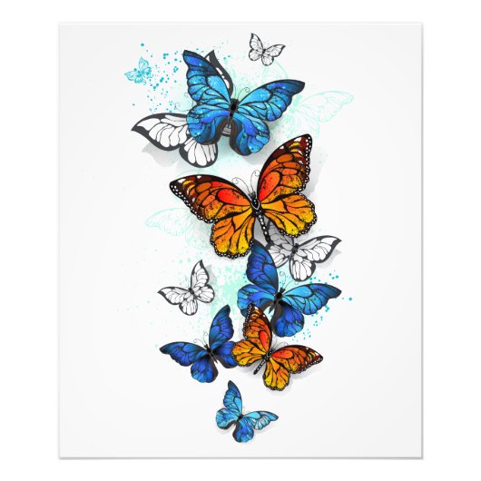 Vliegende Vlinders Morpho en Monarch Foto Afdruk (Voorkant)