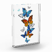 Vliegende vlinders Morpho en Monarch Fotoblokken (Links)