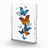 Vliegende vlinders Morpho en Monarch Fotoblokken (Rechts)