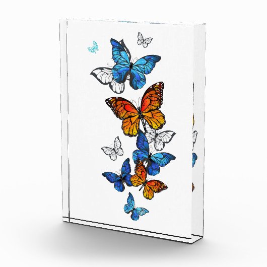 Vliegende vlinders Morpho en Monarch Fotoblokken (Rechts)