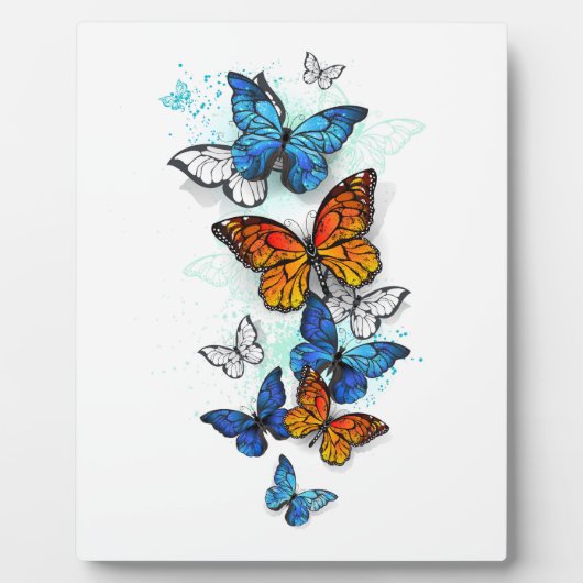 Vliegende vlinders Morpho en Monarch Fotoplaat (Voorkant)