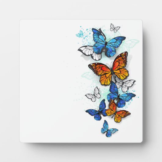 Vliegende Vlinders Morpho en Monarch Fotoplaat (Voorkant)