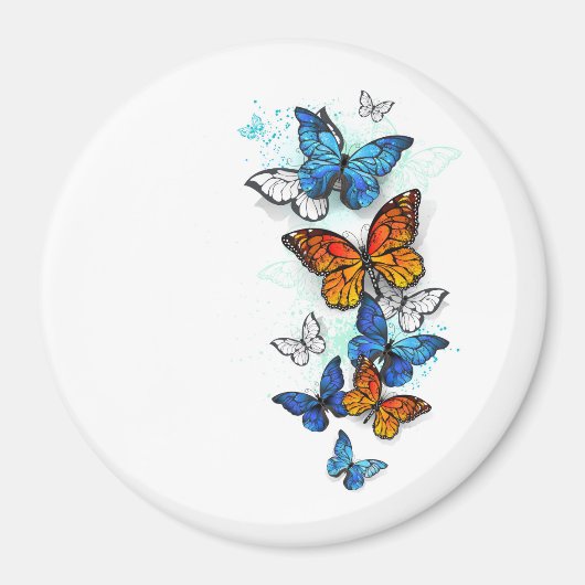 Vliegende Vlinders Morpho en Monarch Magneet (Voorkant)