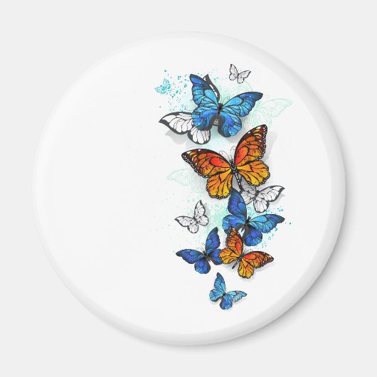 Vliegende Vlinders Morpho en Monarch Magneet (Voorkant)