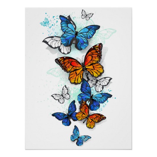 Vliegende Vlinders Morpho en Monarch Perfect Poster (Voorkant)