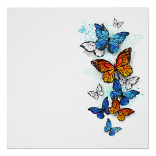 Vliegende Vlinders Morpho en Monarch Perfect Poster