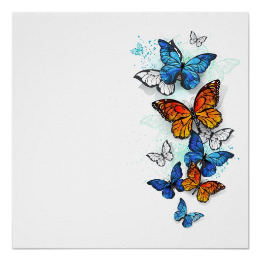 Vliegende Vlinders Morpho en Monarch Perfect Poster (Voorkant)