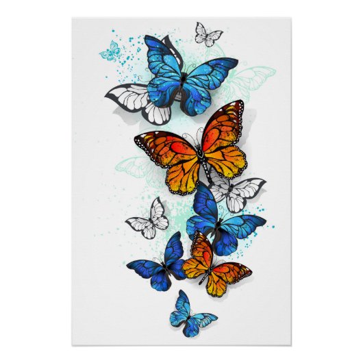Vliegende Vlinders Morpho en Monarch Perfect Poster (Voorkant)
