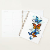 Vliegende Vlinders Morpho en Monarch Planner (Display)