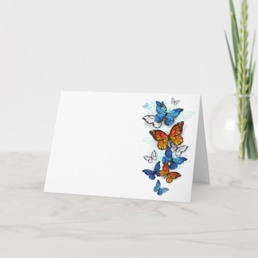 Vliegende Vlinders Morpho en Monarch Programma (Voorkant)