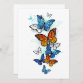 Vliegende Vlinders Morpho en Monarch Programmakaart (Voorkant / Achterkant)