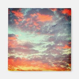 Vliegende Vogel in Wolken Foto Magneet