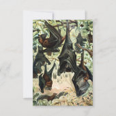 Vliegende Vos Bat Acadamia Illustratie Kaart (Voorkant)