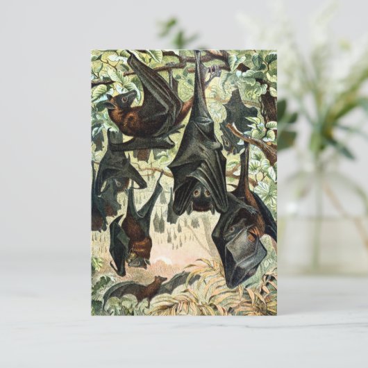  Vliegende Vos Bat Acadamia Illustratie Kaart (Staand voorkant)