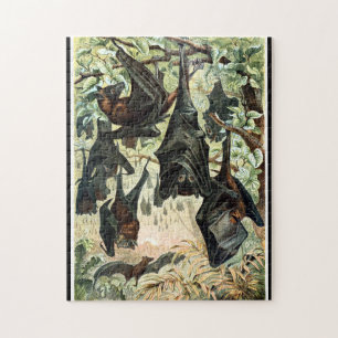  Vliegende Vos Bat Acadamia Illustratie Legpuzzel