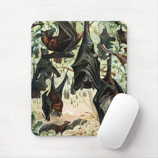  Vliegende Vos Bat Acadamia Illustratie Muismat (Met muis)