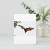 Vliegende vos fruitvleermuis in de lucht briefkaart (Staand voorkant)