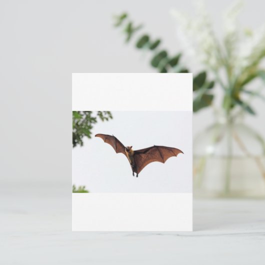 Vliegende vos fruitvleermuis in de lucht briefkaart (Staand voorkant)