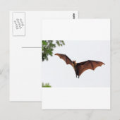 Vliegende vos fruitvleermuis in de lucht briefkaart (Voorkant / Achterkant)