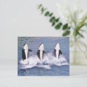 Vliegende walvissen die uit het water springen briefkaart (Staand voorkant)