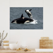 Vliegende walvissen springen poster (Keuken)