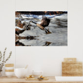 Vliegende wilde dieren in Canada Goose en Winter P Poster (Keuken)