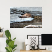 Vliegende wilde dieren uit Canada Goose en Winter Poster (Thuiskantoor)