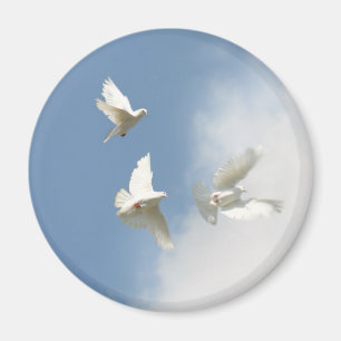 vliegende witte doves magnet