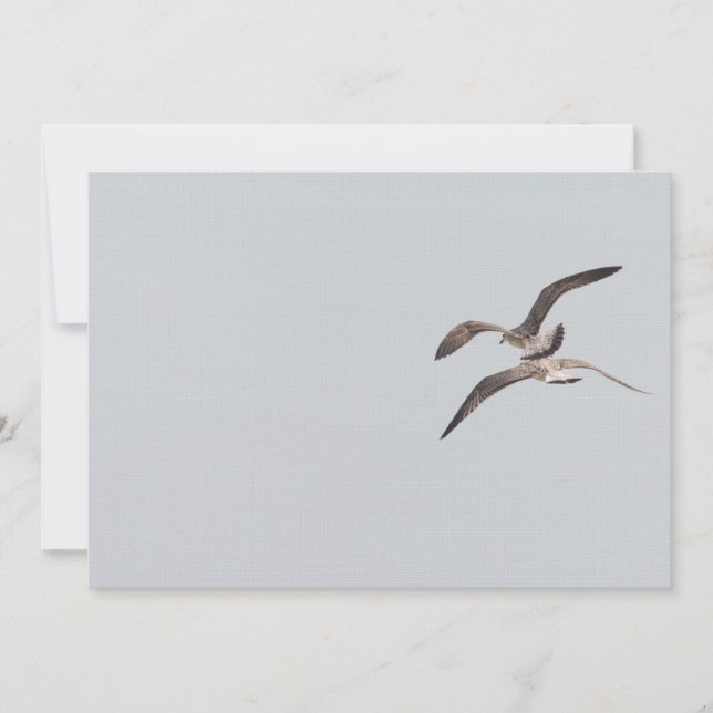 Vliegende zeegarenden (Voorkant)