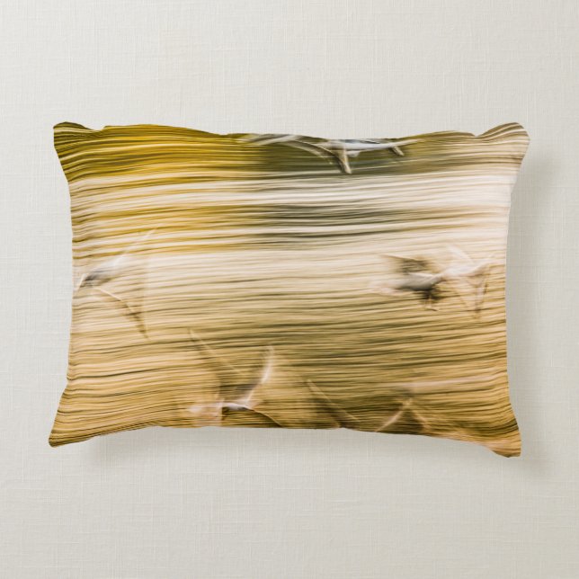 Vliegende zeegarren - abstract accent kussen (Achterkant)