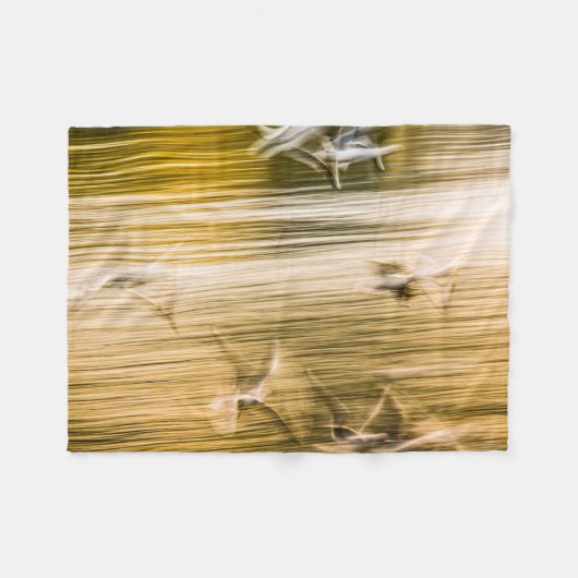 Vliegende zeegarren - abstract fleece deken (Voorkant (Horizontaal))