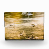 Vliegende zeegarren - abstract fotoblokken (Voorkant)