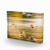 Vliegende zeegarren - abstract fotoblokken (Rechts)