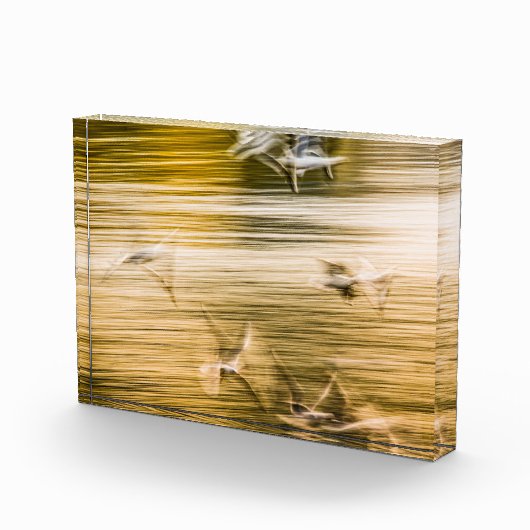 Vliegende zeegarren - abstract fotoblokken (Rechts)