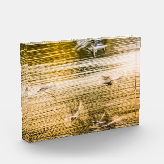 Vliegende zeegarren - abstract fotoblokken (Links)