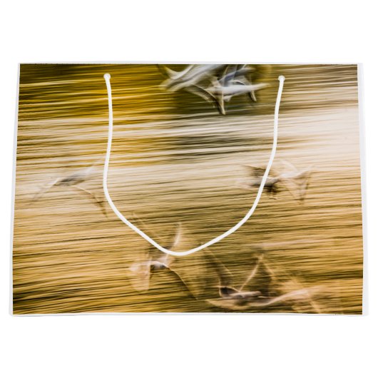 Vliegende zeegarren - abstract groot cadeauzakje (Voorkant)