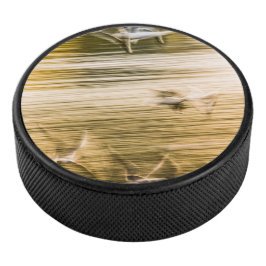 Vliegende zeegarren - abstract hockey puck
