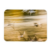 Vliegende zeegarren - abstract magneet (Horizontaal)