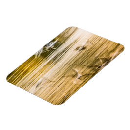 Vliegende zeegarren - abstract magneet