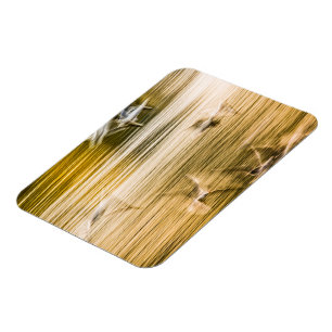 Vliegende zeegarren - abstract magneet