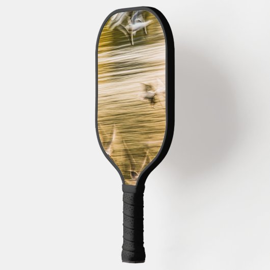 Vliegende zeegarren - abstract pickleball paddle (Links)