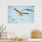 Vliegende zeegarren poster (Keuken)