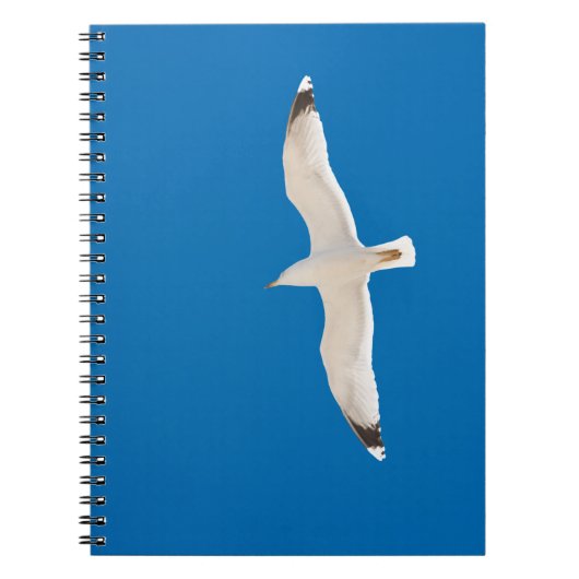 Vliegende zeemeeuw notitieboek (Voorkant)