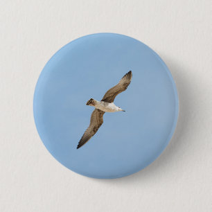 Vliegende zeemeeuw ronde button 5,7 cm