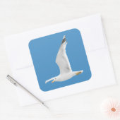 Vliegende zeemeeuw vierkante sticker (Envelop)